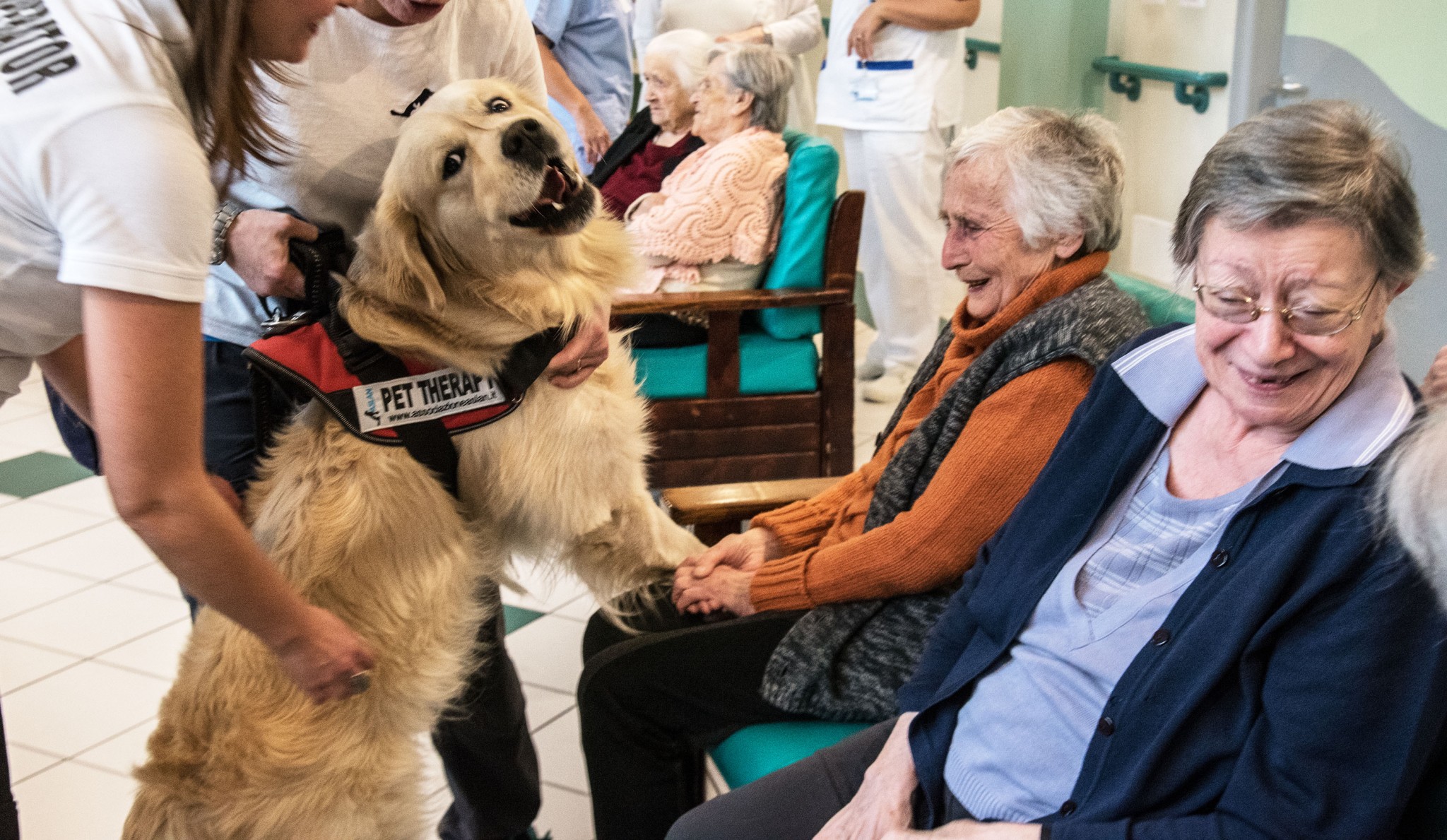 Quali sono i benefici della pet therapy per anziani nelle case di riposo